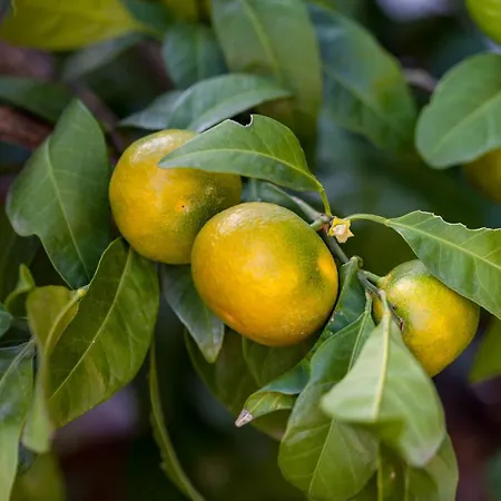 בית הארחה New! Complex In מרינה