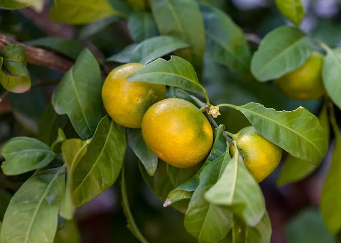 Vendégház New! Complex In Marina